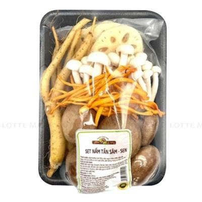 [🛒🇻🇳]Set Nấm Tần Sâm Sen 250g – , SKU – – lottemart.vn 🇻🇳🛒Top1Shop🛒 🇻🇳Top1Vietnam🇻🇳 🛍🛒🇻🇳