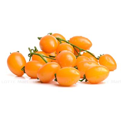 [🛒🇻🇳]Cà chua trái cây Nova hộp 250g (ea) – , SKU – – lottemart.vn 🇻🇳🛒Top1Shop🛒 🇻🇳Top1Vietnam🇻🇳 🛍🛒🇻🇳