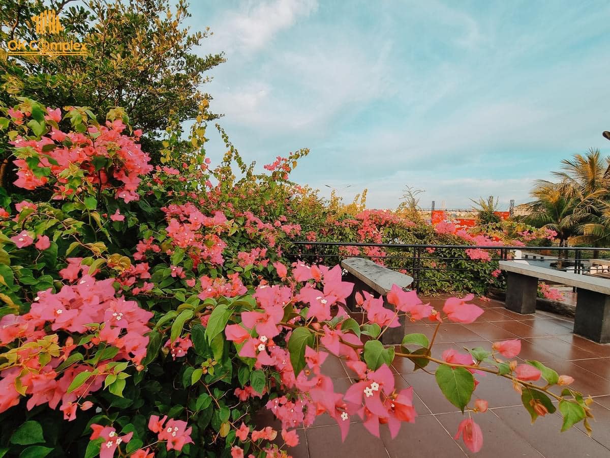 [🆕🇻🇳] QK Complex – Nhà hàng – Event – Bar Cafe – Spa 🍔 Top1Food  🍜 𝐓𝐡𝐮̛ 𝐠𝐢𝐚̃𝐧 𝐯𝐨̛́𝐢 𝐜𝐚̉𝐧𝐡 đ𝐞̣𝐩 𝐭𝐡𝐢𝐞̂𝐧 𝐧𝐡𝐢𝐞̂𝐧 𝐭𝐚̣𝐢 𝐐𝐊 𝐂𝐨𝐦𝐩𝐥𝐞𝐱! 

QK Complex là thiên đường nơi ánh sáng đô thị trở nên mờ nhạt, nhường chỗ cho bức tranh thiên  , shares-3✔️ , likes-14❤️️ , date-2024-05-06 00:33:49🇻🇳🇻🇳🇻🇳📰🆕