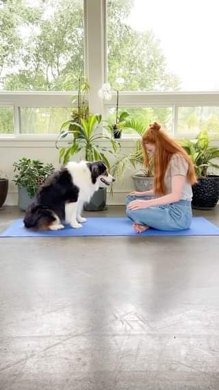 [🆕🇻🇳] Nguyễn Hiếu Yoga🧘 Top1Yoga 🧘 Thay vì dành thời gian lướt điện thoại, hãy chơi với động vật, tiếp xúc với cây cỏ và ánh sáng, tập yoga nhiều hơn, bạn sẽ được cải thiện sức khoẻ tinh thầ , shares-0✔️ , likes-843❤️️ , date-2024-05-30 09:00:01🇻🇳🇻🇳🇻🇳📰🆕