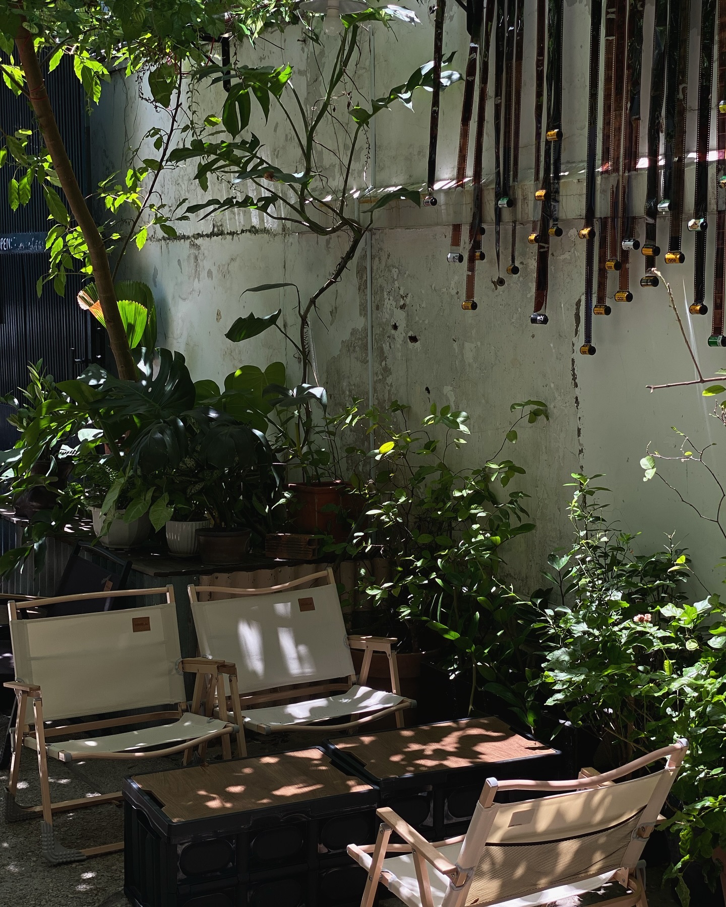 [☕️🇻🇳] Cố Thời Coffee 🥤 Top1Coffee ☕️ Sân ngập nắng mùa hè tháng 6 @cothoicoffee
 , shares-0✔️ , likes-7❤️️ , date-2024-06-12 04:35:42🇻🇳🇻🇳🇻🇳📰🆕