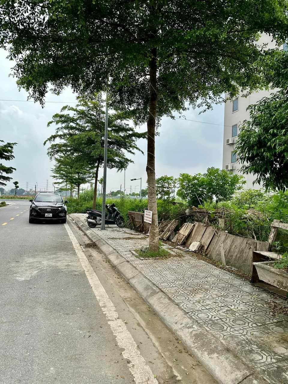 [🆕🇻🇳] Hiền Vinh Hvkids  (Xưởng may HV Kids) 😎❤️️⭐️ Hàng hiếm Nguyễn du
83m nguyễn du  đường trc đât 9m
Cách  vài  bước   Là  ra đường 32m
Lh em  hiền :0387399106 , shares-0✔️ , likes-0❤️️ , date-2024-06-11 06:47:22🇻🇳🇻🇳🇻🇳📰🆕