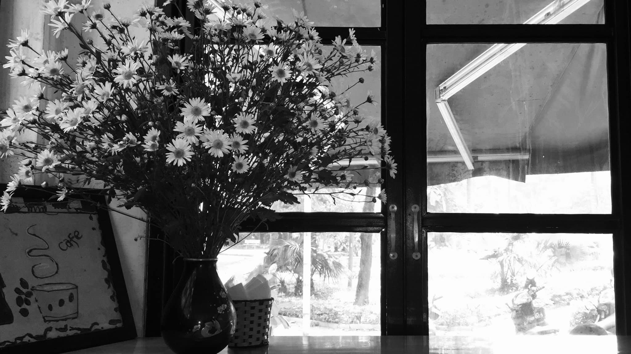 [☕️🇻🇳] Gu Coffee – Cung cấp và kinh doanh cafe sạch pha máy nguyên chất 100% 🥤 Top1Coffee ☕️ Lại thêm tin vui cho người thích uống cà phê: Kéo dài tuổi thọ , shares-0✔️ , likes-0❤️️ , date-2019-11-24 00:11:35🇻🇳🇻🇳🇻🇳📰🆕