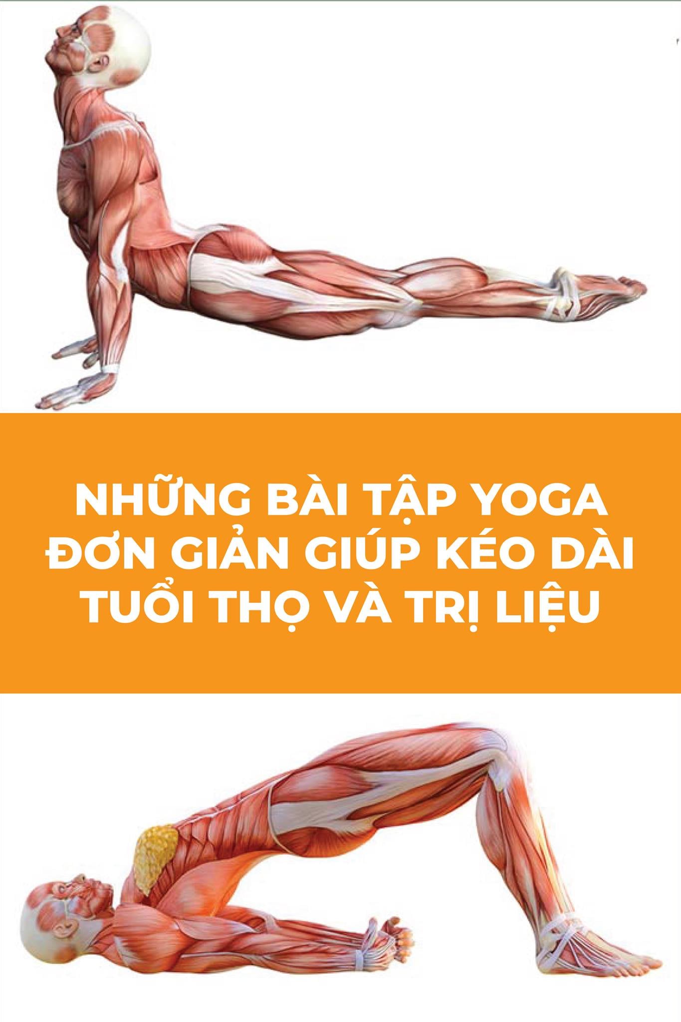 [🆕🇻🇳] Tambooks Yoga  – Học viện Yoga Online Tambooks Việt Nam 🧘 Top1Yoga 🤸🏻‍♀️ Những bài tập Yoga đơn giản giúp kéo dài tuổi thọ và trị liệu
 Nếu bị căng cơ, mỏi cơ, đau mỏi lưng, xương khớp hãy tập ngay 12 động tác yoga này.
 Kiên tr , shares-4✔️ , likes-10❤️️ , date-2024-06-07 05:01:00🇻🇳🇻🇳🇻🇳📰🆕