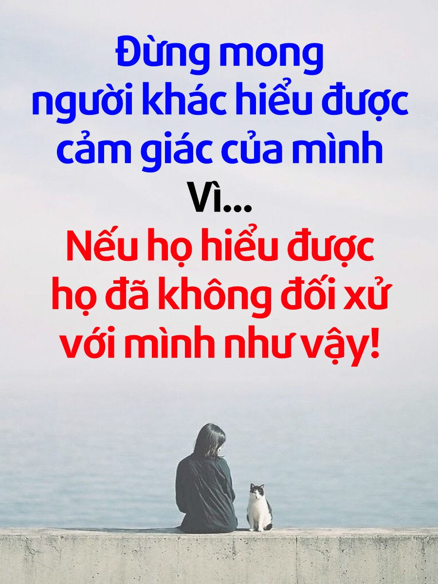 [🆕🇻🇳]  Queen fashion (Hàng fake tàu) – Hàng giá rẻ trung quốc 🧑‍🧒❤️️👶⭐️  , shares-20✔️ , likes-176❤️️ , date-2023-11-21 15:17:31🇻🇳🇻🇳🇻🇳📰🆕