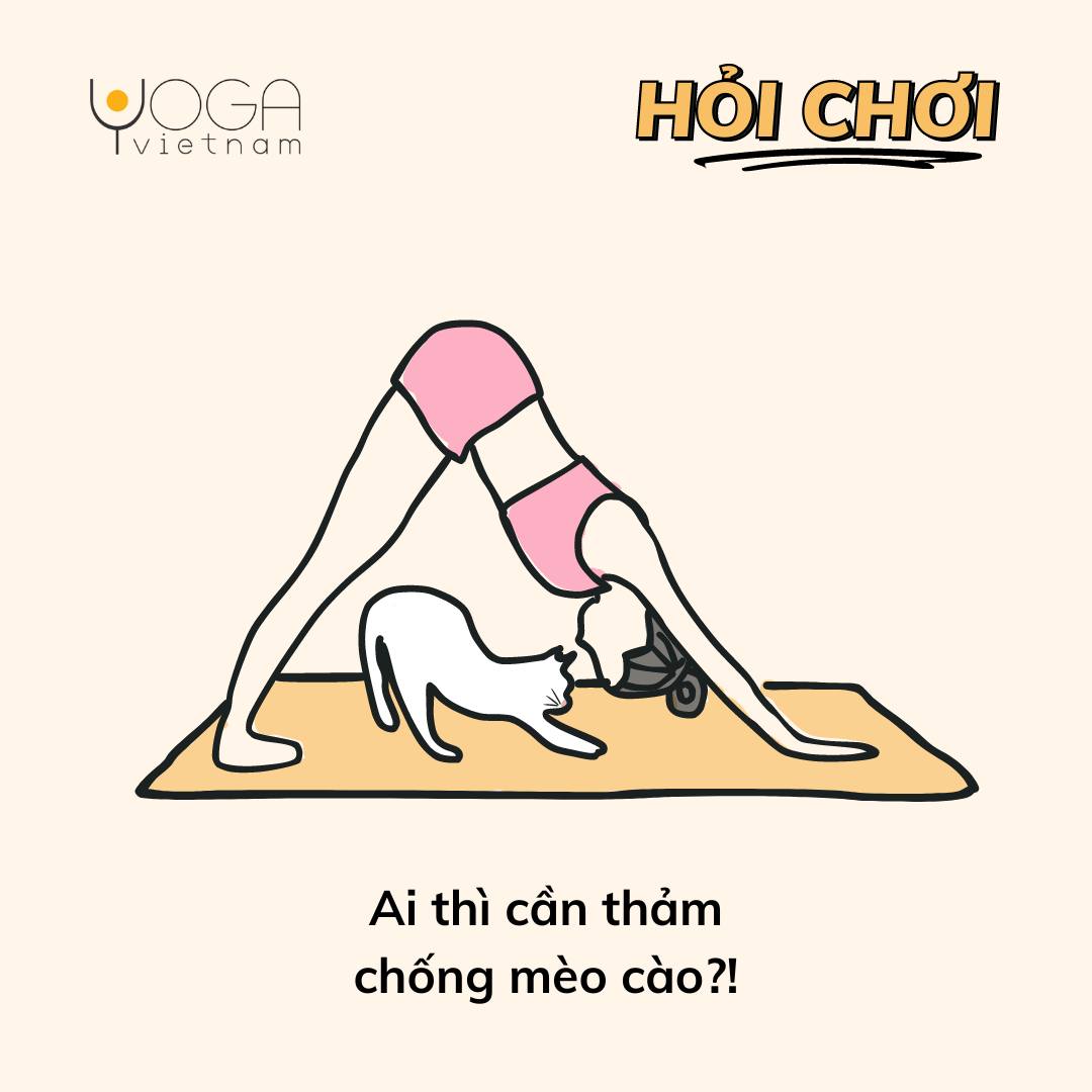 [🆕🇻🇳] YogaVietnam.vn 🧘 Top1Yoga 🤸🏻‍♀️ Alo shop có thảm chống mèo cào không? 
 , shares-0✔️ , likes-16❤️️ , date-2024-06-24 11:30:13🇻🇳🇻🇳🇻🇳📰🆕