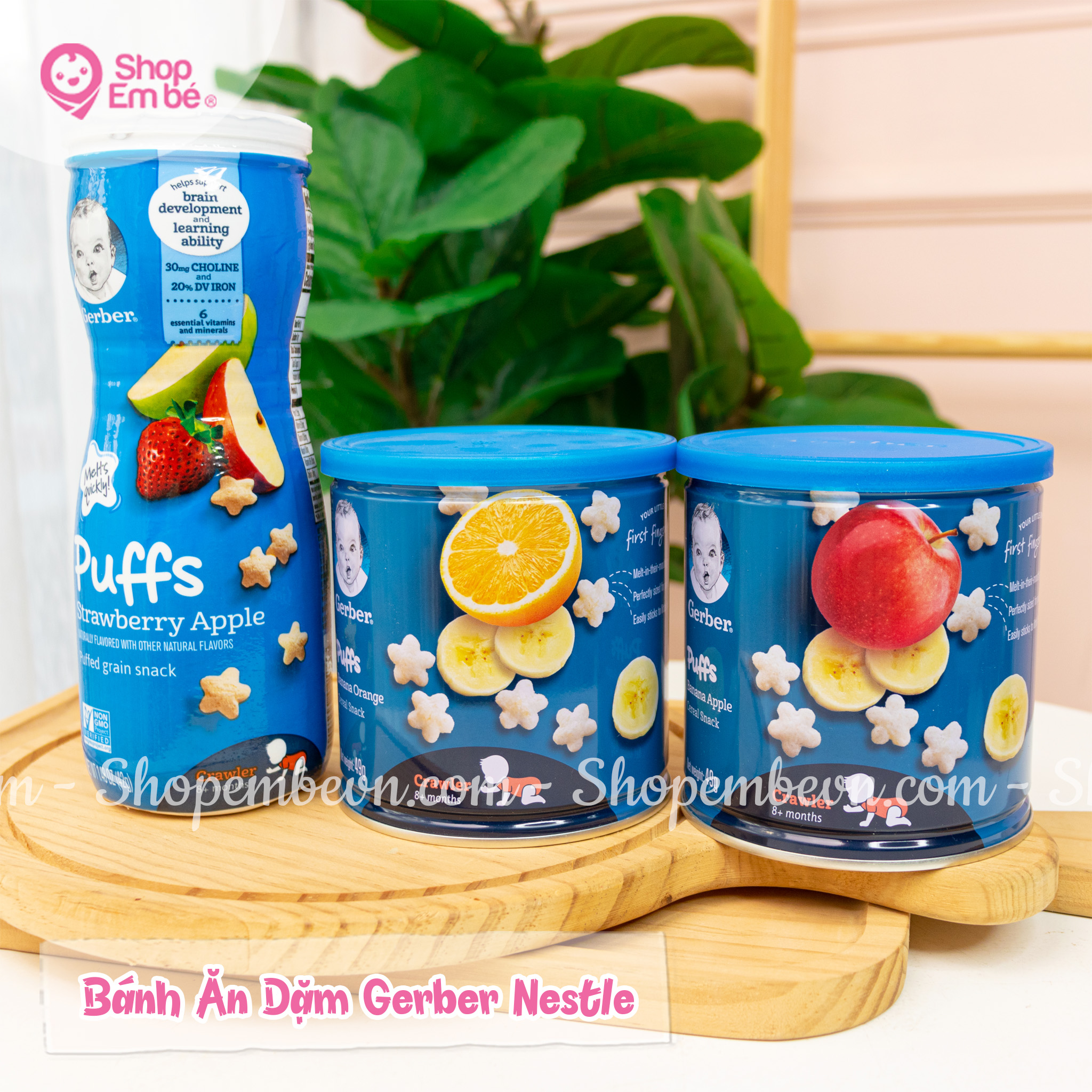 [🆕🇻🇳]  SHOP EM BÉ 🧑‍🧒❤️️👶⭐️ Bánh Gerber cô Tuyến về đủ vị rồi nè
Bánh thơm ngon, giòn rụm
Tự tan trong miệng
Hình ngôi sao đáng yêu
Nhỏ nhắn, dễ cầm
Nguyên liệu từ ngũ cốc, trá , shares-0✔️ , likes-0❤️️ , date-2024-07-01 15:28:12🇻🇳🇻🇳🇻🇳📰🆕
