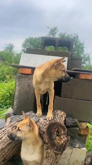 [🆕🇻🇳]  Hằng Japan – Mẹ bầu & Em bé  – Top 10 shop mẹ và bé uy tín nhất VN 🧑‍🧒❤️️👶⭐️ B.box Limited bản Disney cực hot về thêm toàn màu đẹp, trời ơi toàn màu cực xinh in luôn hình lên bình nhé. Các mẹ ơi, nhanh tay: phiên bản Mickey / Pooh/  , shares-0✔️ , likes-0❤️️ , date-2024-07-06 15:24:16🇻🇳🇻🇳🇻🇳📰🆕