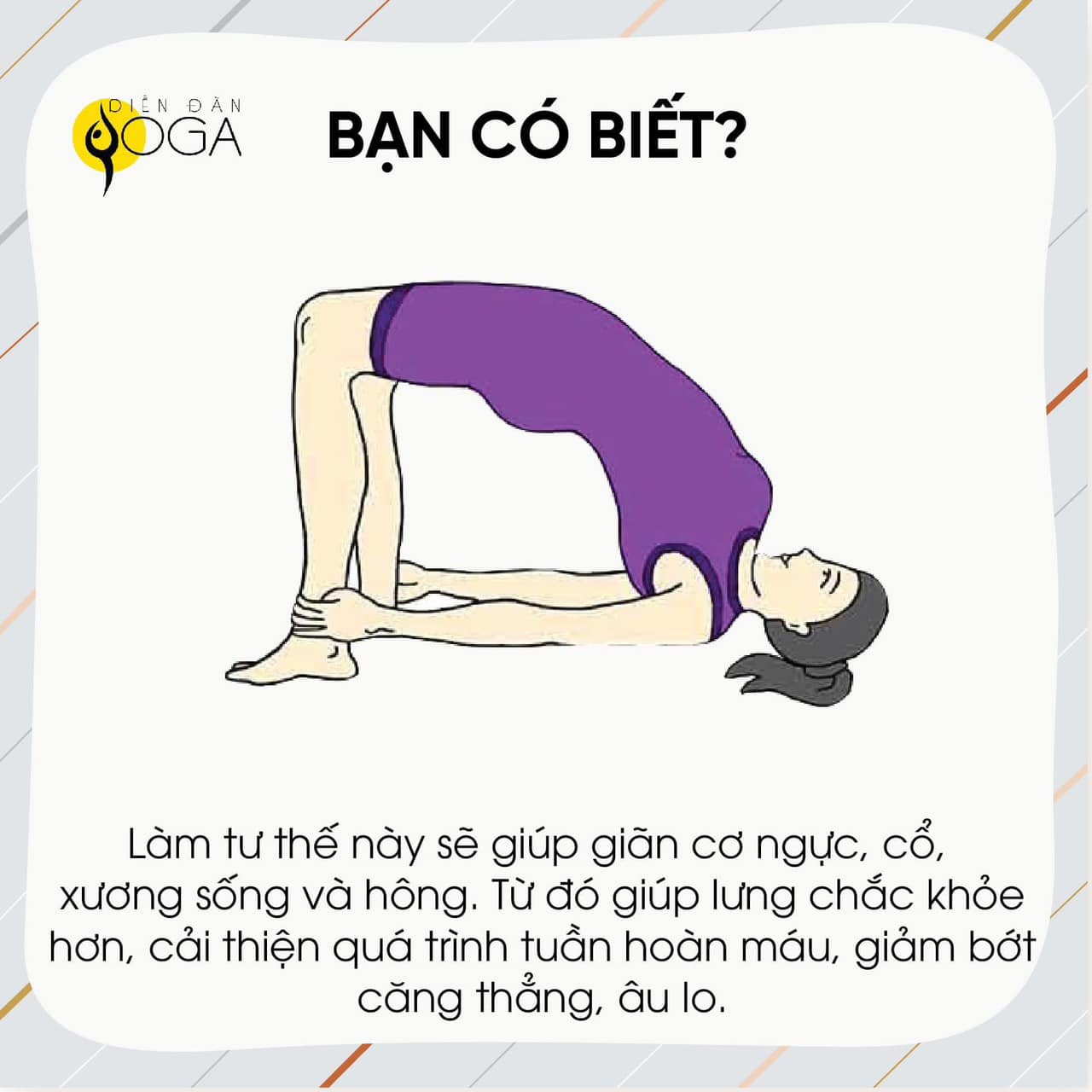 [🆕🇻🇳] 💗 Những Người Thích Tập Yoga 🧘🏻‍♀️ 🧘 Top1Yoga 🤸🏻‍♀️ 𝐑𝐞𝐯𝐢𝐞𝐰 𝟏 𝐬𝐨̂́ 𝐛𝐚̀𝐢 𝐭𝐚̣̂𝐩 𝐘𝐨𝐠𝐚 𝐯𝐚̀ 𝐥𝐨̛̣𝐢 𝐢́𝐜𝐡 𝐜𝐮̉𝐚 𝐭𝐮̛̀𝐧𝐠 đ𝐨̣̂𝐧𝐠 𝐭𝐚́𝐜 𝐦𝐚̀ 𝐛𝐚̣𝐧 𝐜𝐨́ 𝐭𝐡𝐞̂̉ 𝐜𝐡𝐮̛𝐚 𝐛𝐢𝐞̂́𝐭   Bạn có thể tham khảo thêm nhiều lợi ích tư thế ở đây , shares-0✔️ , likes-0❤️️ , date-2024-07-07 13:28:46🇻🇳🇻🇳🇻🇳📰🆕