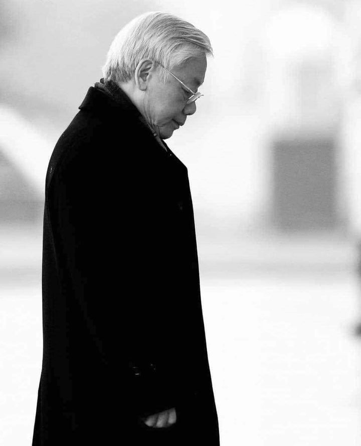 [👨‍🎓🇻🇳] Hocmai.vn Tiểu học 👨‍🎓 Top1Learn 👩‍🎓 – “Nếu là hoa hãy là hoa hướng dươngNếu là chim hãy là chim câu trắngNếu l …