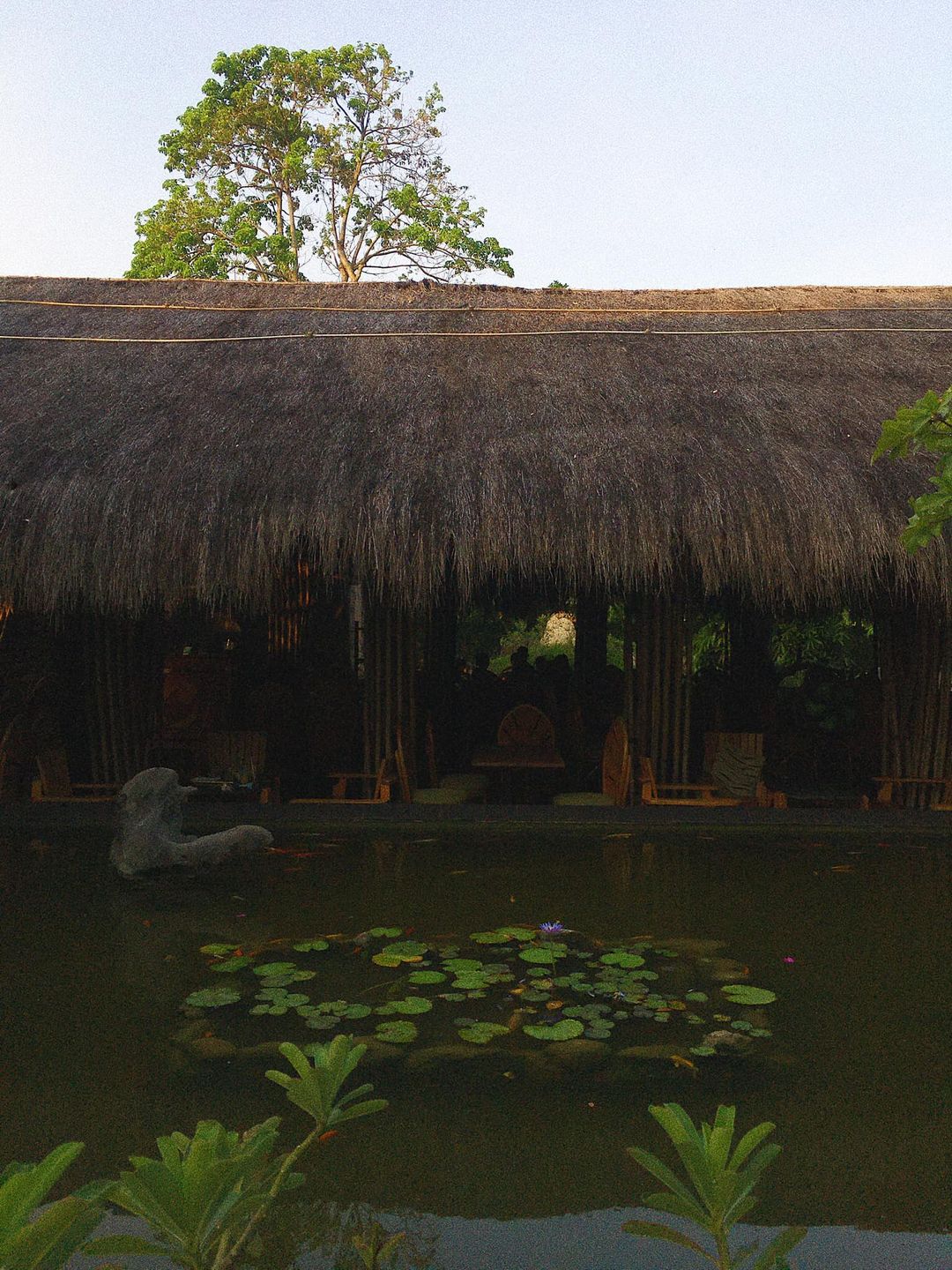 [🆕🇻🇳] Đặc Sản An Giang –  Chuyên cung cấp sỉ lẻ Khô và Mắm An Giang 🍔 Top1Food 🍜 Vài bức phác họa phong cảnh quê hương miền tây An Giang.
 , shares-0✔️ , likes-144❤️️ , date-2020-09-16 17:51:15🇻🇳🇻🇳🇻🇳📰🆕