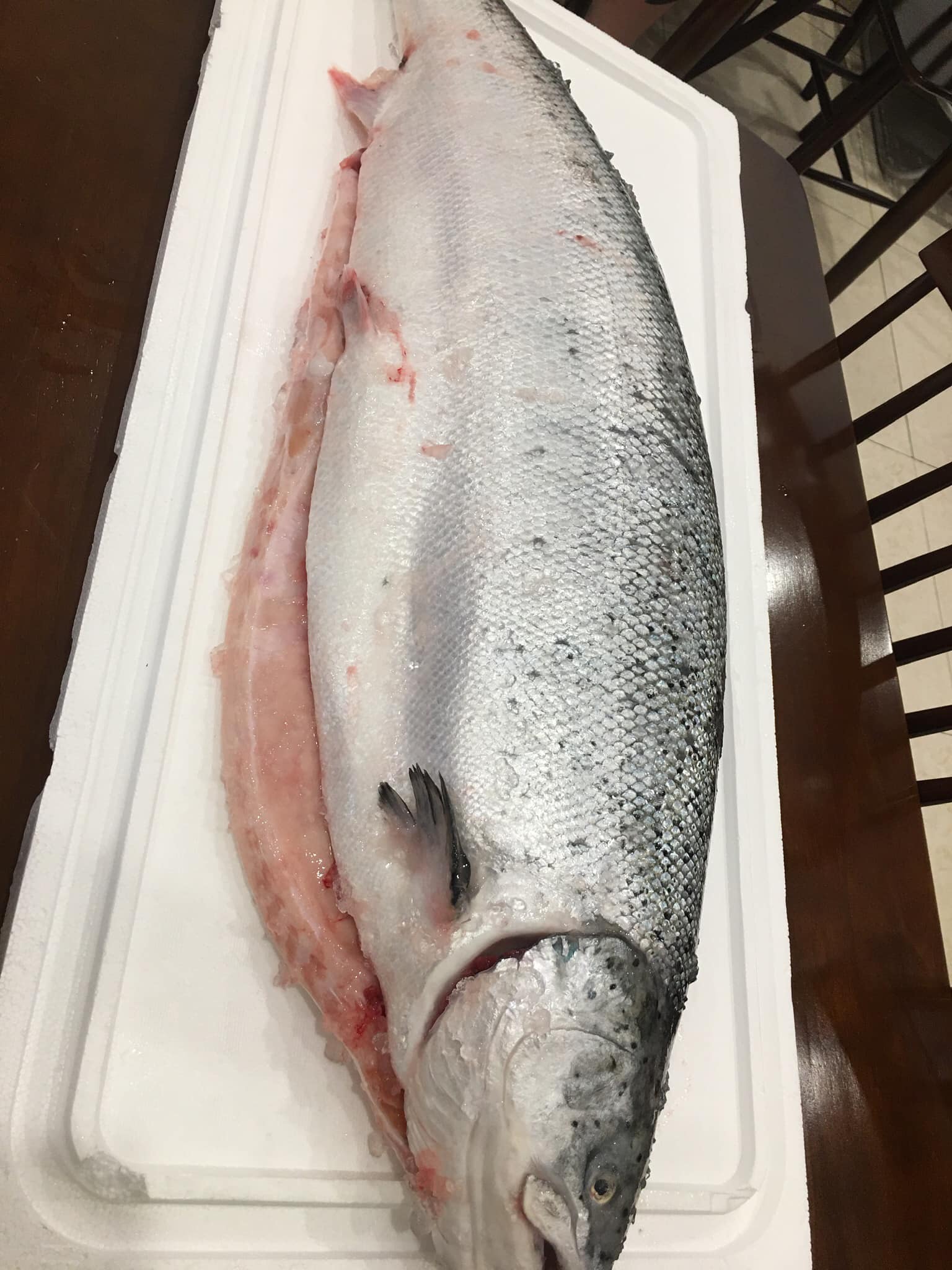 [🆕🇻🇳] Tiến sushi  (Tiến Nhật- Thuỷ sushi) – Bán ăn tại quán, nhận ship hàng và mua mang về 🍔 Top1Food  🍜 Tháng mới Tiến Sushi kính chúc Quý khách hàng thật nhiều sức khoẻ- Vạn sự như ý- An khang thịnh vượng Quán vẫn bán ăn tại quán và ship về.  Tặng súp hoặc s , shares-0✔️ , likes-3❤️️ , date-2024-05-07 15:28:32🇻🇳🇻🇳🇻🇳📰🆕