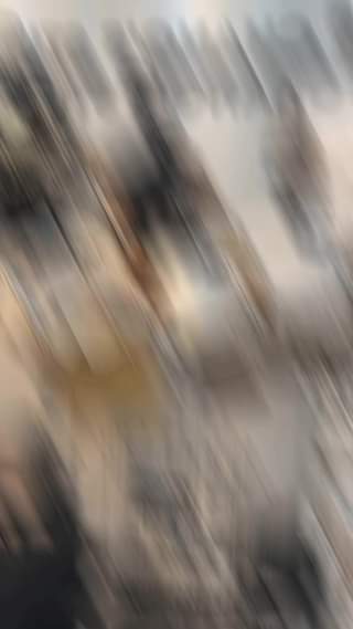 [🆕🇻🇳] Chang’s store – kids 🧑‍🧒❤️️👶⭐️ LOADING !!!!
, shares-0✔️ , likes-0❤️️ , date-2024-07-01 22:03:54🇻🇳🇻🇳🇻🇳📰🆕