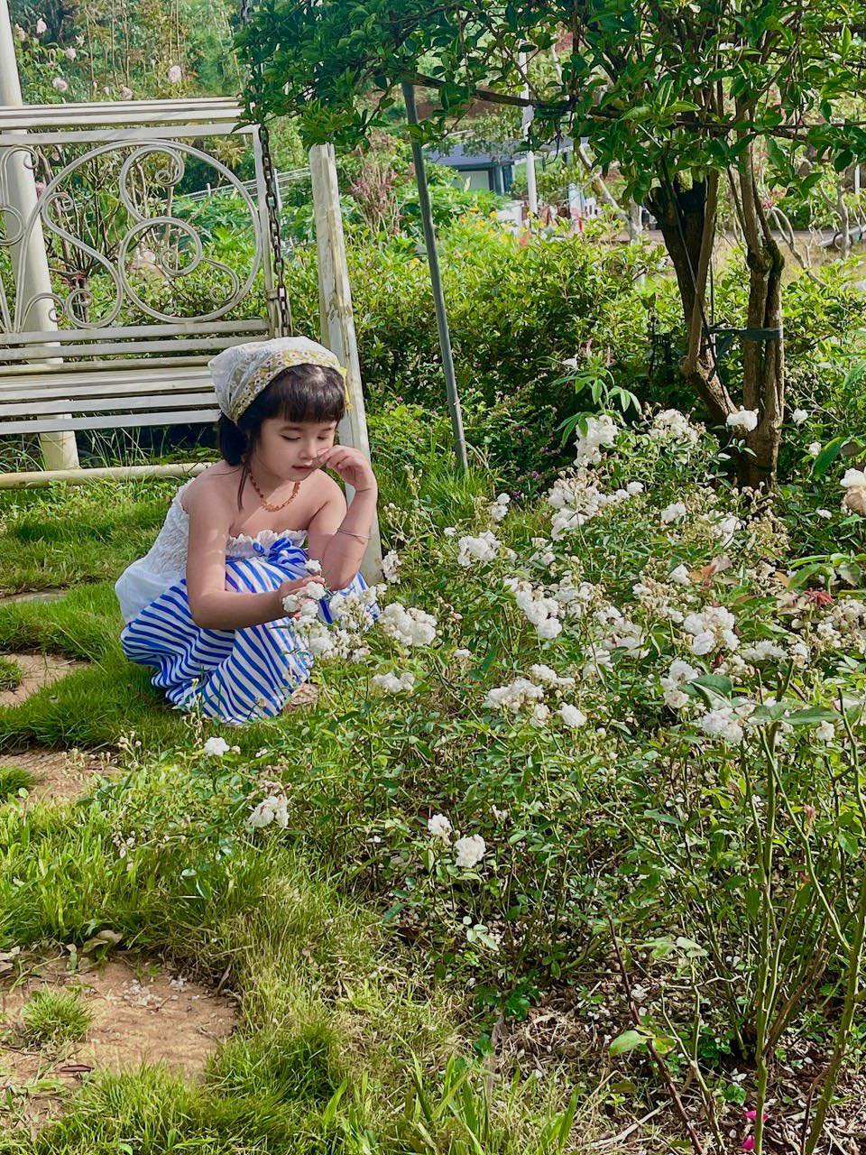 [🆕🇻🇳]  HANA STORE – Quần áo trẻ em 🧑‍🧒❤️️👶⭐️  , shares-0✔️ , likes-17❤️️ , date-2024-06-13 01:50:31🇻🇳🇻🇳🇻🇳📰🆕