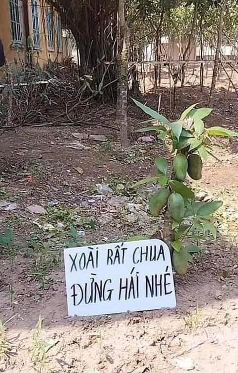 [🆕🇻🇳] Zin Shop – Giày Dép Trẻ Em – Xuất Khẩu chuyên bán sỉ và bán lẻ giày dép, phụ kiện trẻ em với nhiều mẫu mã đa dạng 🧑‍🧒❤️️👶⭐️ Đúng Thậc Là…
, shares-0✔️ , likes-7❤️️ , date-2024-06-17 13:48:12🇻🇳🇻🇳🇻🇳📰🆕