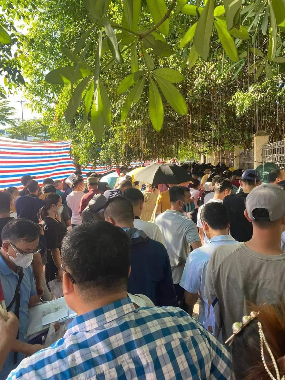 [🆕🇻🇳] Hiền Vinh Hvkids  (Xưởng may HV Kids) 😎❤️️⭐️ Đấu giá thanh oai luc này!
Nóng nhất huyện thường tín !
Ace quan tâm bất động sản thường tín alo em hiền nhé :0387399106
, shares-0✔️ , likes-4❤️️ , date-2024-08-09 17:41:54🇻🇳🇻🇳🇻🇳📰🆕