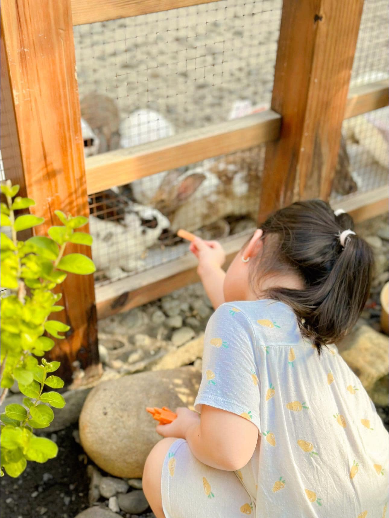 [🆕🇻🇳]  Kawaii Family & Kids Farm Cafe Thủ Đức – Nhà Hàng Cafe Gia Đình & Khu Vui Chơi Cho Bé 🧑‍🧒❤️️👶⭐️ GIÁ VÉ CHỈ TỪ #119K Áp Dụng Đến Hết Tháng 08/2024Chuẩn bị bắt đầu năm học mới, các “Khách hàng nhí” của nhà Kawaii Farm Thủ Đức đang hết sức hào hứng và  , shares-7✔️ , likes-75❤️️ , date-2024-08-17 22:43:36🇻🇳🇻🇳🇻🇳📰🆕