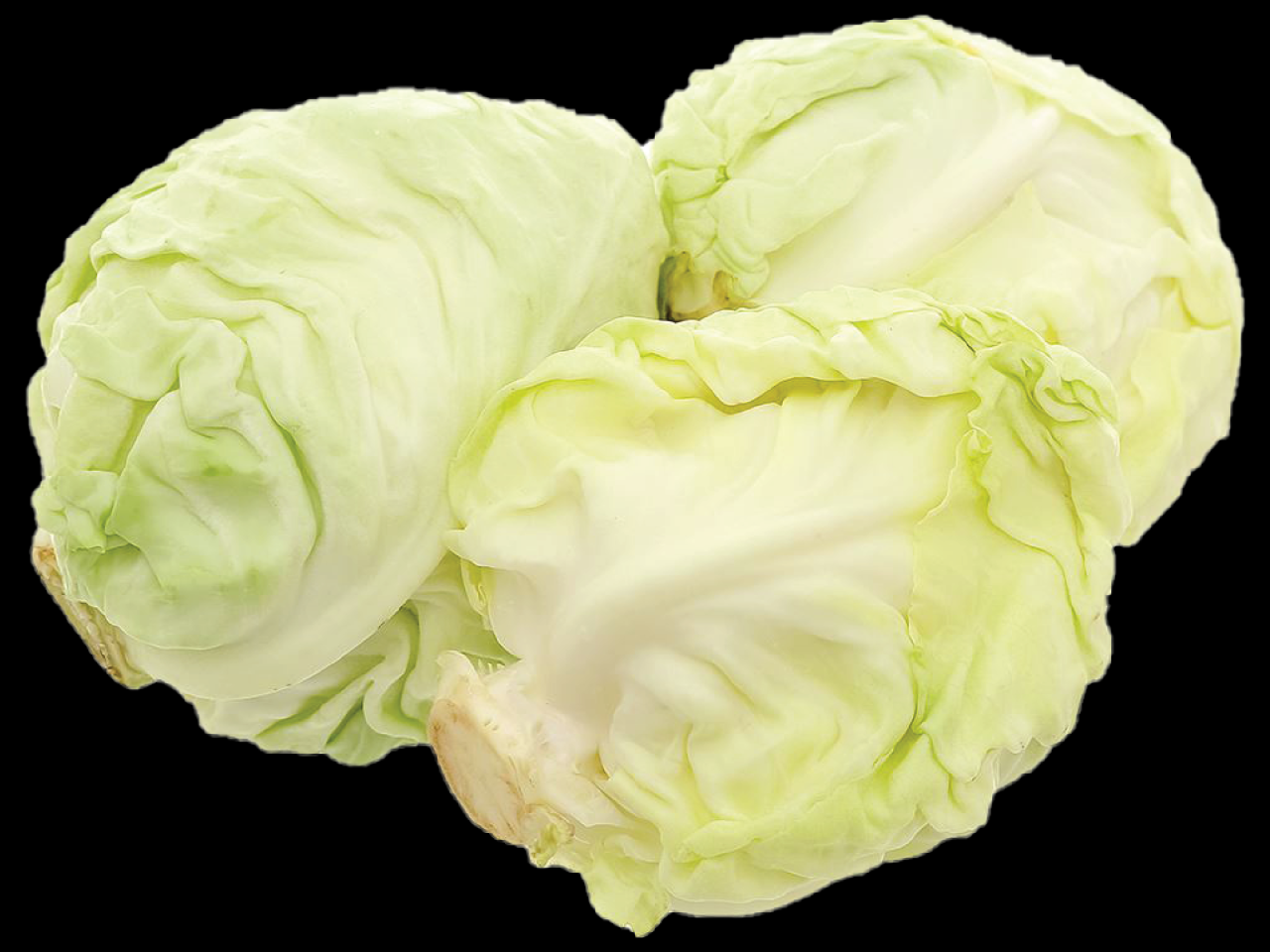 [🛒🇻🇳]BẮP CẢI TRÁI TIM 1KG – HAPPY AGRICO , SKU – – sibafood.vn 🇻🇳🛒Top1Shop🛒 🇻🇳Top1Vietnam🇻🇳 🛍🛒🇻🇳