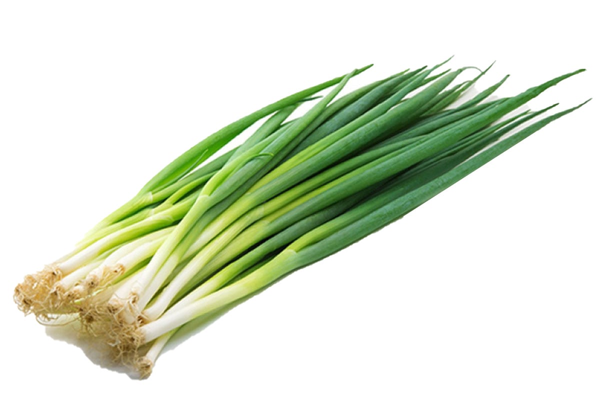 [🛒🇻🇳]HÀNH LÁ 100gr – CÔNG TY TNHH HAPPY AGRICO , SKU – – sibafood.vn 🇻🇳🛒Top1Shop🛒 🇻🇳Top1Vietnam🇻🇳 🛍🛒🇻🇳