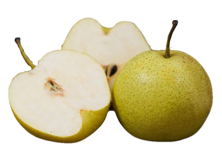 [🛒🇻🇳]Lê đường Hà Giang – Nông sản Kim Phúc , SKU – – sibafood.vn 🇻🇳🛒Top1Shop🛒 🇻🇳Top1Vietnam🇻🇳 🛍🛒🇻🇳