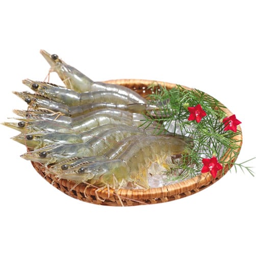 [🛒🇻🇳]Tôm thẻ (Loại 40-60c/kg) – XNK Phạm Gia Phát , SKU – – sibafood.vn 🇻🇳🛒Top1Shop🛒 🇻🇳Top1Vietnam🇻🇳 🛍🛒🇻🇳