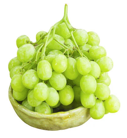 [🛒🇻🇳]Nho xanh không hạt Mỹ – CÔNG TY TNHH TERRISA , SKU – – sibafood.vn 🇻🇳🛒Top1Shop🛒 🇻🇳Top1Vietnam🇻🇳 🛍🛒🇻🇳