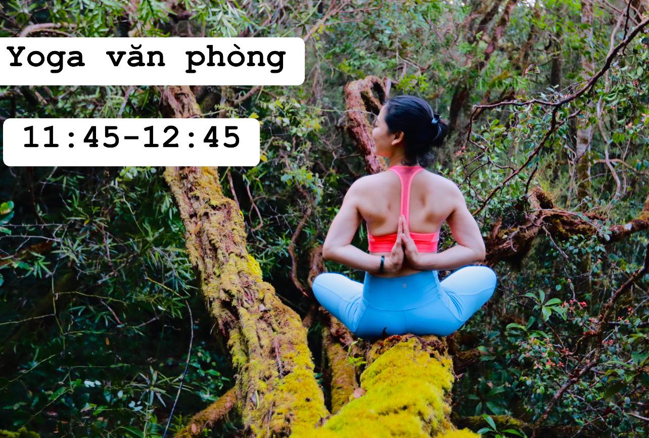 [🆕🇻🇳] Aerial Yoga Vietnam 🧘 Top1Yoga 🧘 𝗪𝗢𝗥𝗞𝗦𝗛𝗢𝗣: “𝗜𝗡𝗧𝗥𝗢 𝗧𝗢 𝗔𝗘𝗥𝗜𝗔𝗟 𝗕𝗨𝗡𝗚𝗘𝗘” 

Workshop hoàn toàn MIỄN PHÍ dành cho tất cả các học viên, anh chị có định hướng trở thành GIÁO VIÊN YOGA BAY.

      T , shares-0✔️ , likes-0❤️️ , date-2022-09-10 16:32:18🇻🇳🇻🇳🇻🇳📰🆕