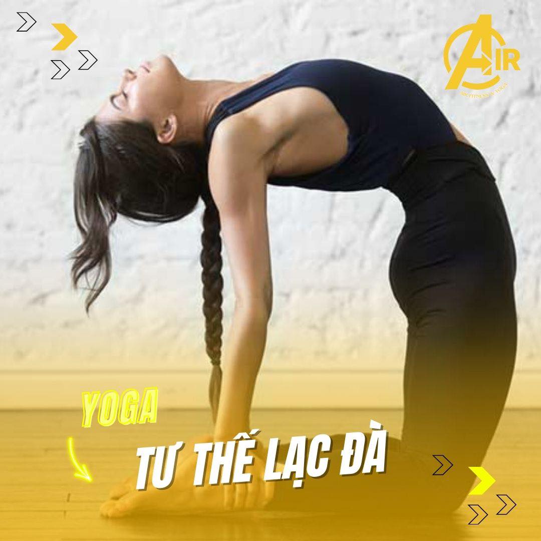 [🆕🇻🇳] Đạt Anh Yoga Flow 🧘 Top1Yoga 🧘 Thế nào là gia đình hạnh phích? 
 Bé con ăn ngoan ngủ ngoan, bố mẹ thì mê công việc, yêu gia đình 
 #flowcungdatanh #datanhyoga #weup_yoga #yoga_flow #musi , shares-0✔️ , likes-0❤️️ , date-2024-03-14 14:00:46🇻🇳🇻🇳🇻🇳📰🆕