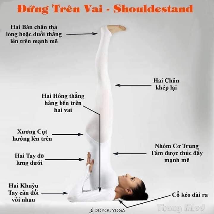 [🆕🇻🇳] Tambooks Yoga  – Học viện Yoga Online Tambooks Việt Nam 🧘 Top1Yoga 🤸🏻‍♀️ Hãy cùng nhau thả lỏng cơ thể, làm mới tâm trí, và đón chào một ngày mới đầy sức sống. Đừng để thời gian trôi qua vô ích, hãy đến với buổi sáng Yoga và cảm , shares-0✔️ , likes-0❤️️ , date-2024-09-04 11:01:50🇻🇳🇻🇳🇻🇳📰🆕