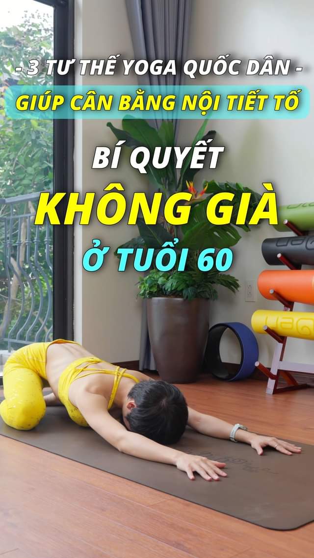 [🆕🇻🇳] Hoàng Uyên Yoga 🧘 Top1Yoga 🤸🏻‍♀️ Yoga cân bằng nội tiết #hoanguyenyoga #yogatainha
 , shares-0✔️ , likes-0❤️️ , date-2024-09-04 12:00:26🇻🇳🇻🇳🇻🇳📰🆕