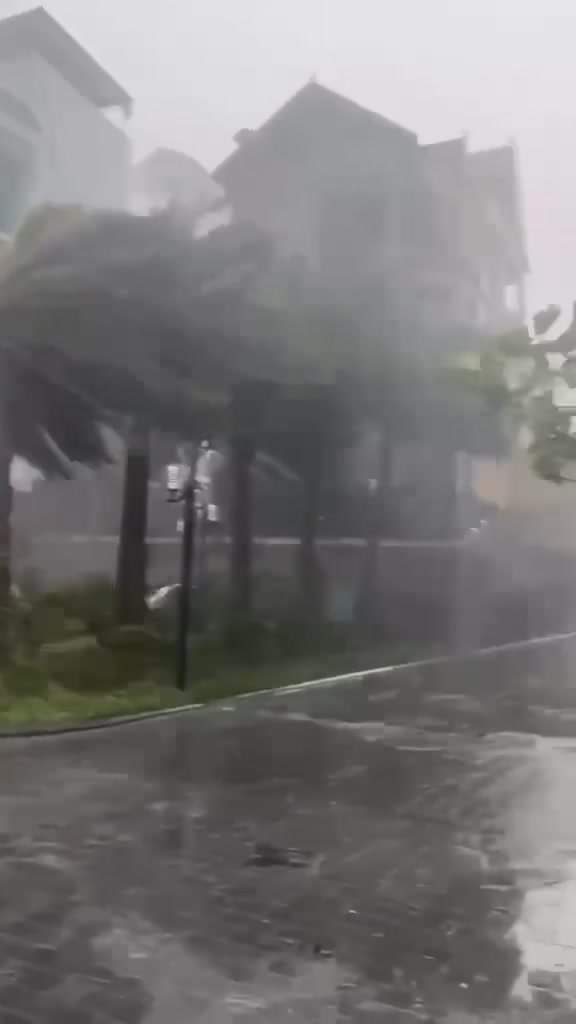 [🆕🇻🇳] Tô KIDs – Bán buôn – bán lẻ quần áo trẻ em phong cách và chất lượng 🧑‍🧒❤️️👶⭐️ Các bác ơiii cẩn thận nhé ạ, gió to và cực nguy hiểm đấy ạ
, shares-0✔️ , likes-31❤️️ , date-2024-09-05 20:26:09🇻🇳🇻🇳🇻🇳📰🆕