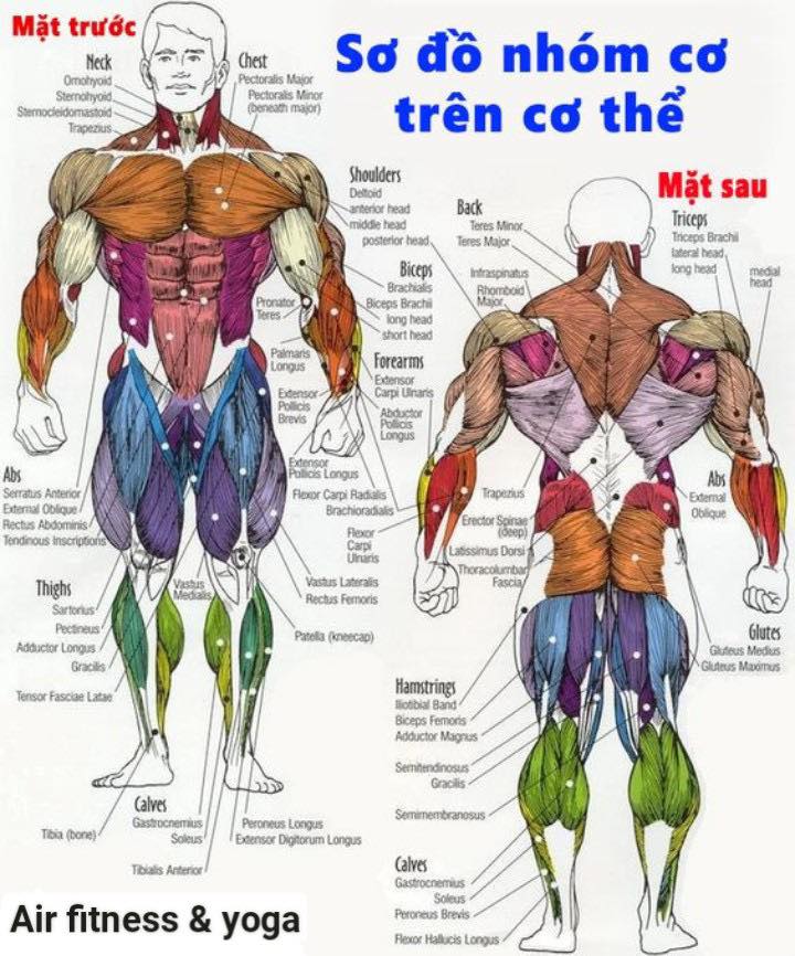 [🆕🇻🇳] An Yoga – Phòng tập dạng home studio, quy mô nhỏ 🧘 Top1Yoga 🧘 Aerial yoga
Nhìn thì tưởng dễ nhưng chắc chắn phải dùng sức mạnh cơ bắp nà

Vô được tư thế rồi chắc chắn các nhóm cơ mục tiêu sẽ được tác động đúng và rõ r , shares-0✔️ , likes-6❤️️ , date-2022-06-16 14:16:36🇻🇳🇻🇳🇻🇳📰🆕