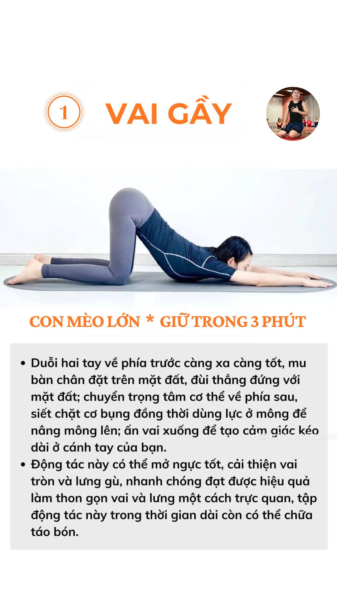 [🆕🇻🇳] Đạt Anh Yoga Flow 🧘 Top1Yoga 🧘 Mỗi ngày bỏ chút thời gian để xây cơ lõi, tự khắc bụng phẳng – eo thon 
 Cùng Em giáo tập thử 6 tư thế yoga dưới đây nha! #flowcungdatanh #datanhyoga #weup , shares-14✔️ , likes-99❤️️ , date-2024-03-09 23:00:29🇻🇳🇻🇳🇻🇳📰🆕