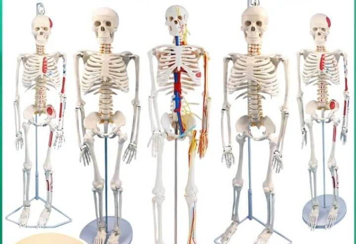 [🆕🇻🇳] Zenith Yoga Kim Mã 🧘 Top1Yoga 🤸🏻‍♀️ Còn 4 ngày nữa là đến hạn early bird của khóa học rồi nhé.
 , shares-0✔️ , likes-2❤️️ , date-2024-10-03 16:31:56🇻🇳🇻🇳🇻🇳📰🆕