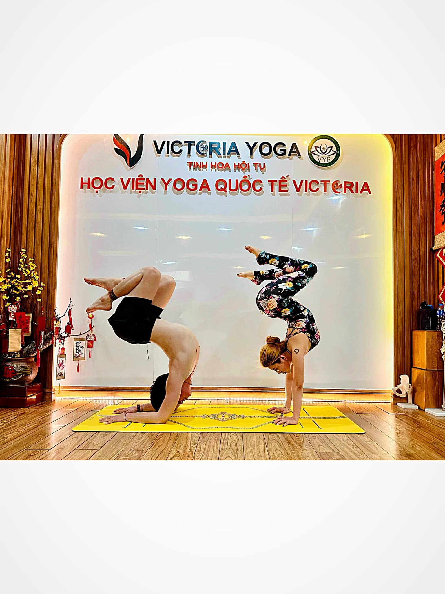 [🆕🇻🇳] Yoga – Fitness Đình Vinh – GYM – YOGA – ZUMBA – AEROBIC – MÚA CỔ TRANG – DANCE KID 🧘 Top1Yoga 🤸🏻‍♀️ Rèn luyện yoga mỗi ngày tại Yoga – Fitness Đình Vinh
 , shares-0✔️ , likes-8❤️️ , date-2024-10-17 00:30:00🇻🇳🇻🇳🇻🇳📰🆕