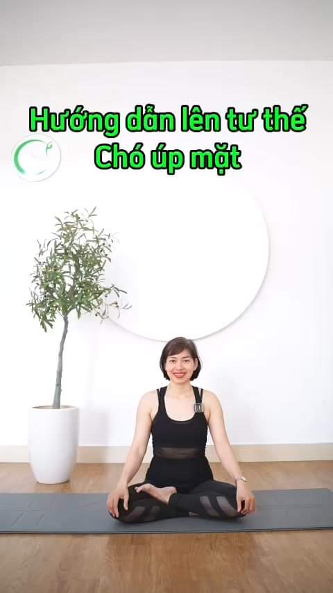 [🆕🇻🇳] Savary Yoga – CÔNG TY CỔ PHẦN ĐẦU TƯ PHÁT TRIỂN SAVARY 🧘 Top1Yoga 🤸🏻‍♀️ Hướng dẫn lên tư thế Chó úp mặt 
 #YogaSavary
 #Yoga
 ———————–
 SAVARY YOGA & DANCE
  Hotline: 0349778684
  Cơ sở 1: Tầng 4, số 373 Bạch , shares-0✔️ , likes-0❤️️ , date-2024-10-17 17:26:07🇻🇳🇻🇳🇻🇳📰🆕