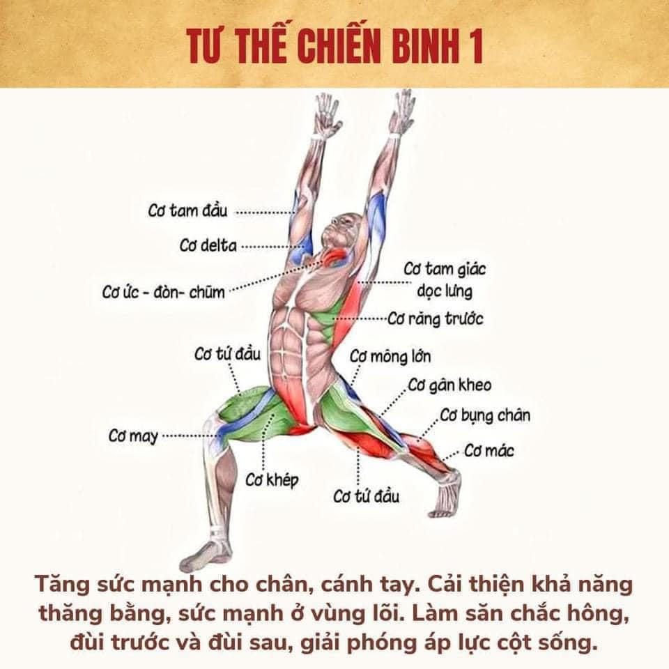 [🆕🇻🇳] Ban Mai Yoga Academy 🧘 Top1Yoga 🧘 Giải phẫu một số tư thế yoga cho bạn cần nha
 , shares-1✔️ , likes-0❤️️ , date-2024-07-04 15:53:42🇻🇳🇻🇳🇻🇳📰🆕