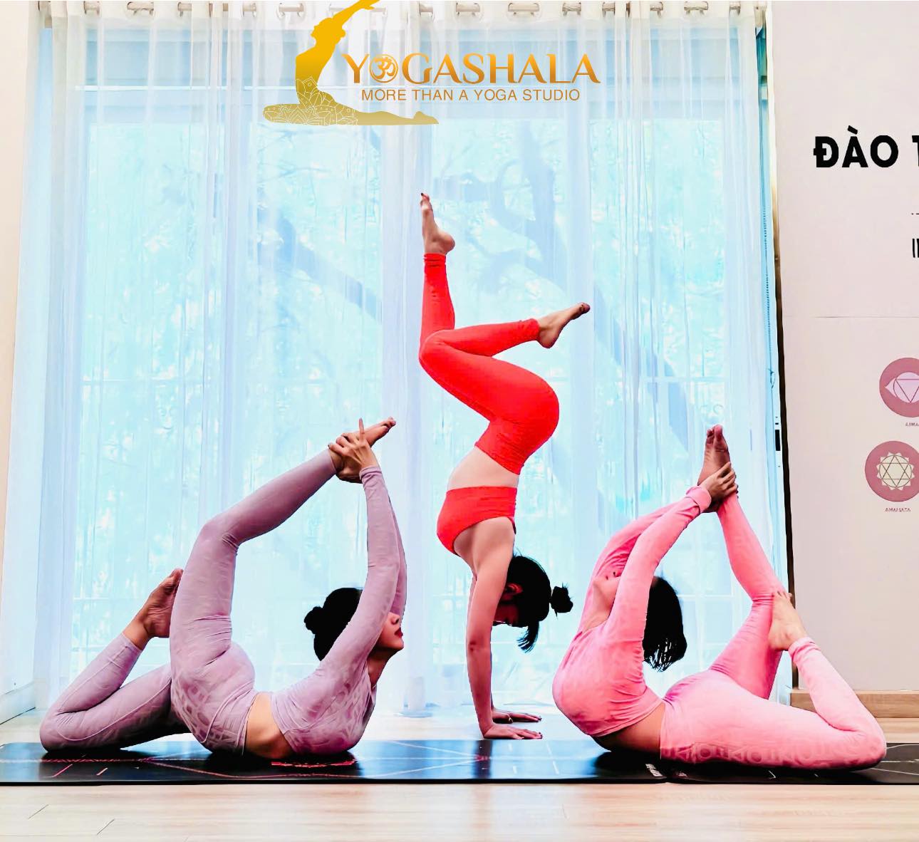 [???] Ocean Fitness & Yoga Centers  ? Top1Yoga ??‍♀️  , shares-0✔️ , likes-5❤️️ , date-2024-11-06 18:00:41????????