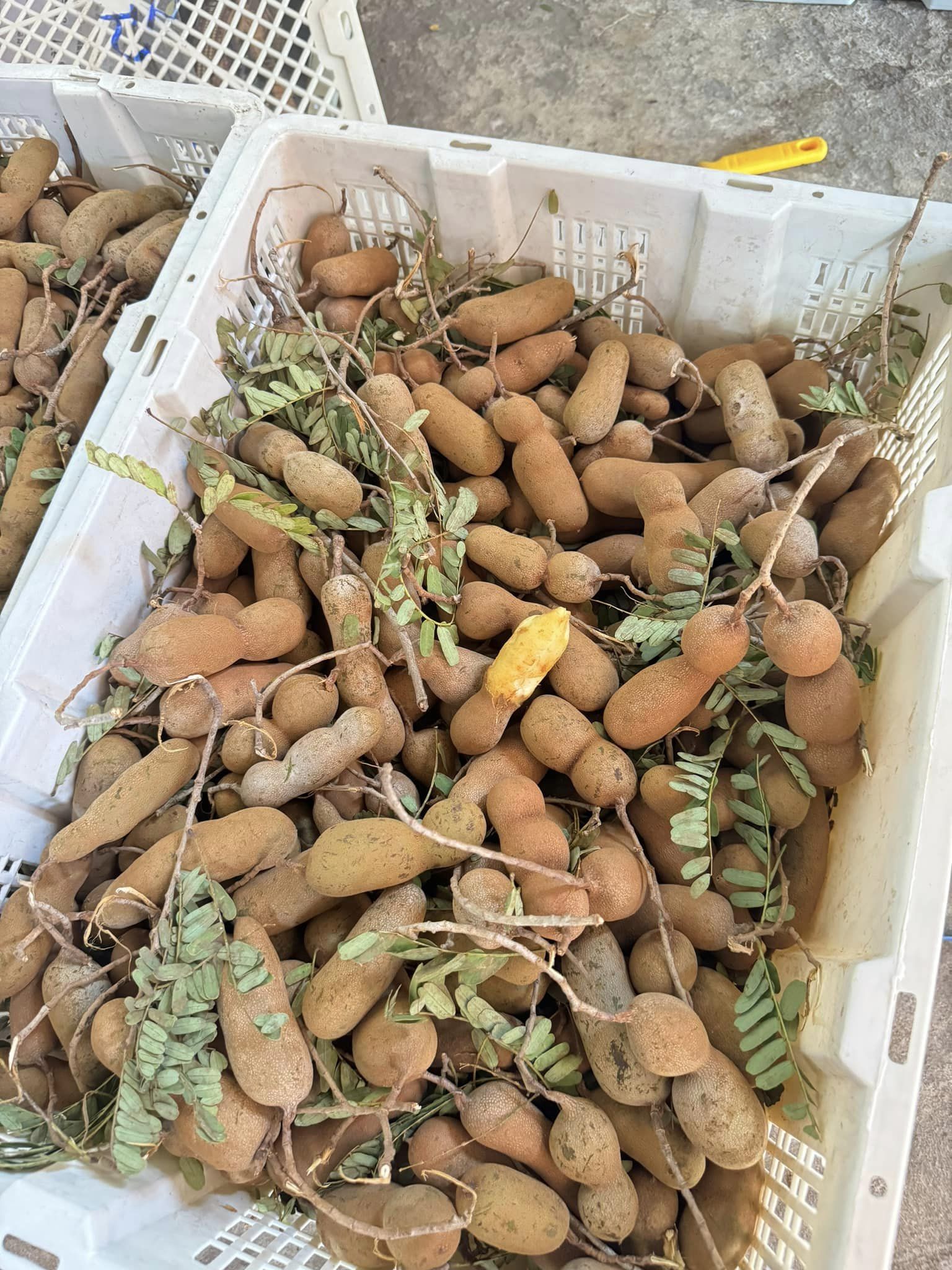 [???] Phan Lý Yoga – ☘️HLV YOGA :CÁ NHÂN ,TRỰC TIẾP,ONLINE,TRI LIỆU,KIDS … ? Top1Yoga ??‍♀️ Học viên pt tập full tuần của e đầy yêu thương 
việt-France
 , shares-0✔️ , likes-52❤️️ , date-2024-11-24 23:07:04????????