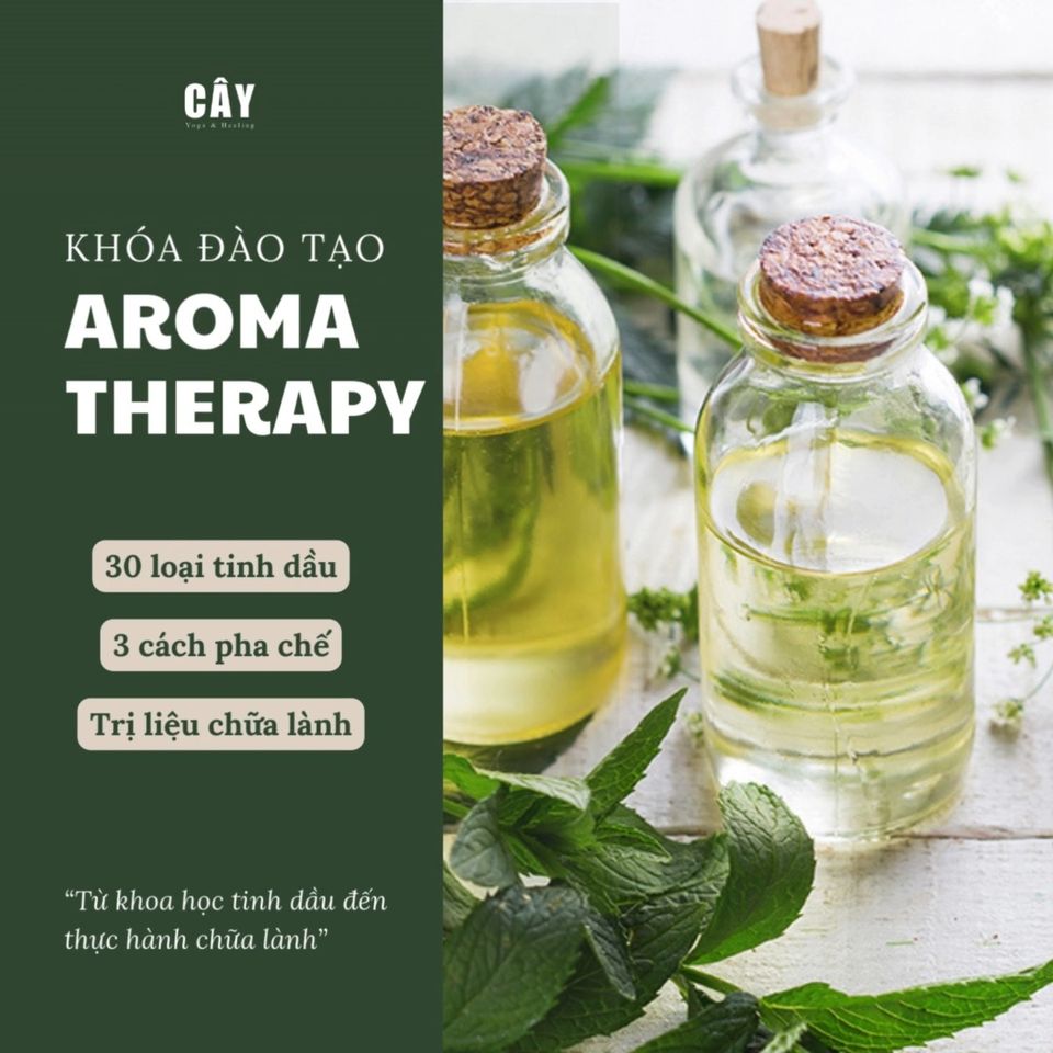 [???] Mint Care HCM  ? Top1Yoga ??‍♀️ MintCare
 , shares-0✔️ , likes-0❤️️ , date-2024-10-07 13:01:05????????