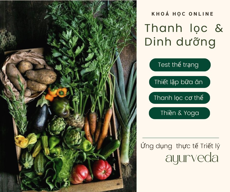 [???] CÂY – Yoga and Healing home  ? Top1Yoga ??‍♀️ THAM GIA KHOÁ “THANH LỌC & DINH DƯỠNG TOÀN DIỆN”  CUỐI NĂM
Những tháng cuối năm là một giai đoạn tốt để bạn thương cân bằng việc chạy theo các deadline côn , shares-4✔️ , likes-25❤️️ , date-2024-10-31 15:05:25????????