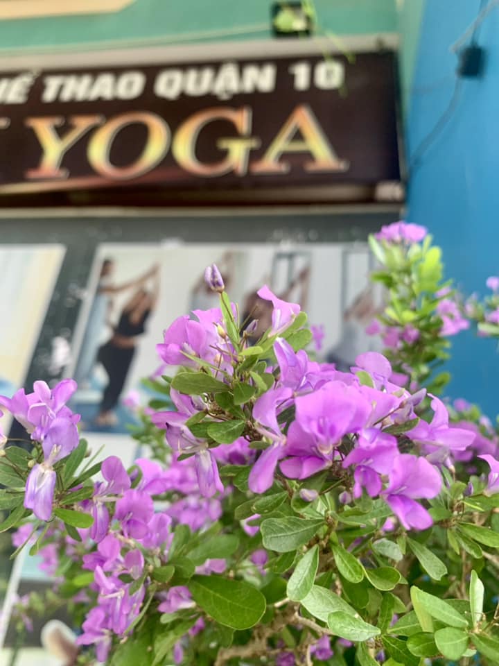 [???] Clb Mani Om Yoga – Trung tâm yoga chuyên nghiệp, uy tín tại quận 10 ? Top1Yoga ??‍♀️ Thêm một chút sắc màu tươi đẹp chào đón quý học viên tháng mới ạ! 

Đăng ký bằng cách gửi tin nhắn, bình luận hoặc zalo 0937494010
 Trực tiếp tại: Bên tron , shares-0✔️ , likes-13❤️️ , date-2024-11-03 20:38:09????????