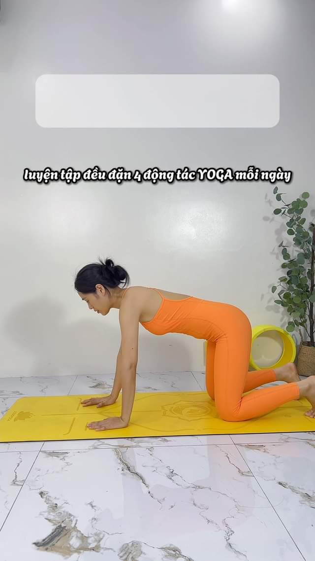 [???] Victoria Fitness & Yoga – Trung tâm tập gym, rèn luyện thể chất ??‍♀️  Balance & Flexibility Yoga – Hành Trình Tìm Lại Sự Cân Bằng  Cuộc sống hối hả khiến ta dễ dàng đánh mất sự cân bằng – nhưng qua từng động tác yoga, ch , shares-0✔️ , likes-0❤️️ , date-2024-11-05 23:08:36????????