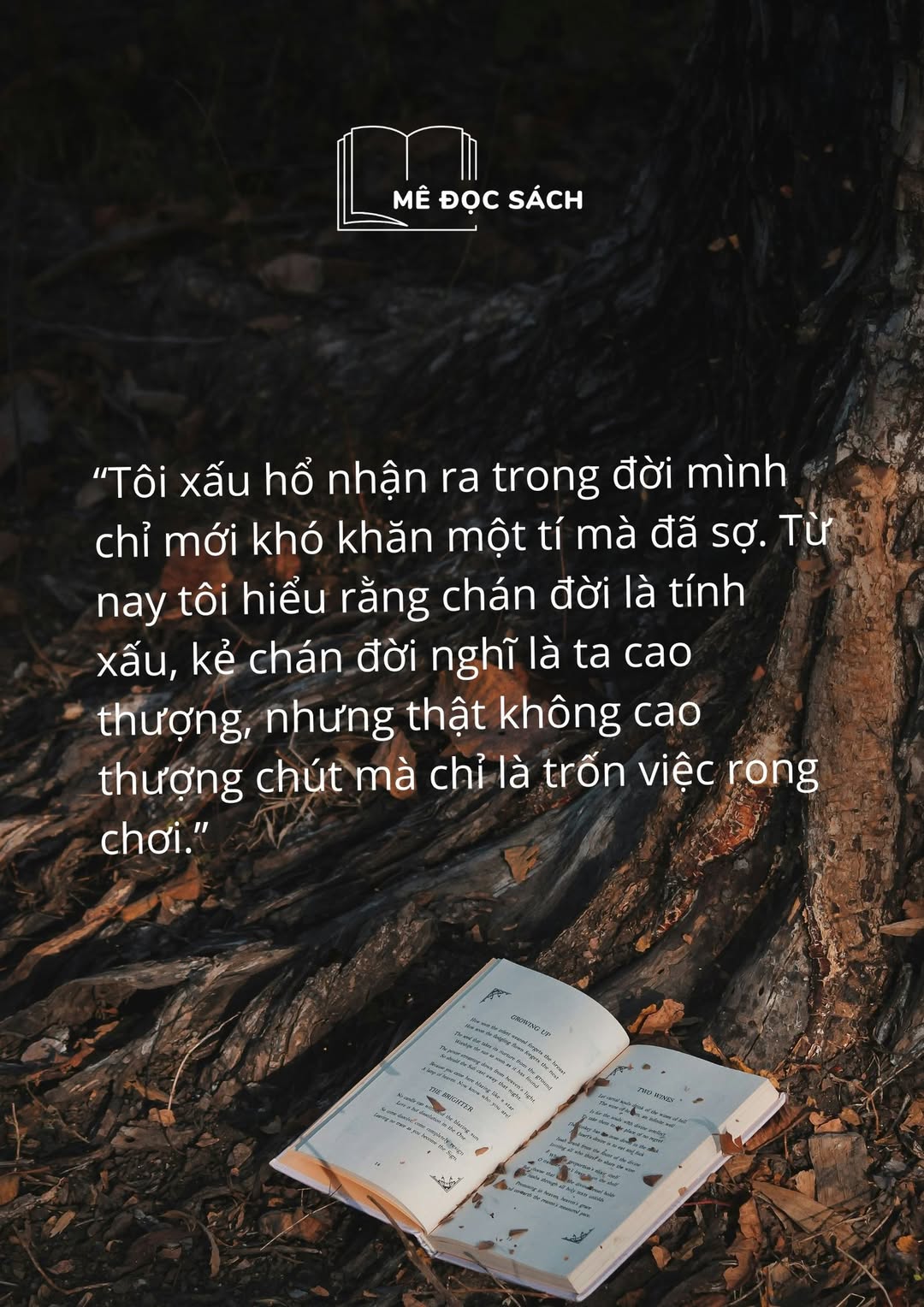 “Tôi xấu hổ nhận ra trong đời mình chỉ mới khó khăn một tí mà đã sợ. Từ nay tôi hiểu rằng chán đời là tính xấu, kẻ chán đời nghĩ là ta cao thượng, nhưng th
