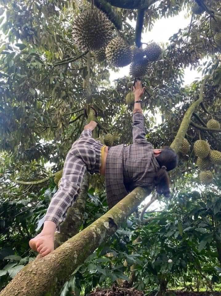 [🆕🇻🇳] HEBE YOGA – Hebeyoga.com – Chuyên cung cấp sỉ và lẻ các sản phẩm dụng cụ yoga chất lượng 🧘 Top1Yoga 🤸🏻‍♀️ Vẻ đẹp của lao động

Đi làm nhưng không quên tập Yoga 
———————————————
𝐇𝐞𝐛𝐞𝐲𝐨𝐠𝐚 𝐎𝐟𝐟𝐢𝐜𝐚𝐥
 Website: Https://hebeyoga.com
Shopee , shares-2✔️ , likes-6❤️️ , date-2024-12-21 18:00:50🇻🇳🇻🇳🇻🇳📰🆕