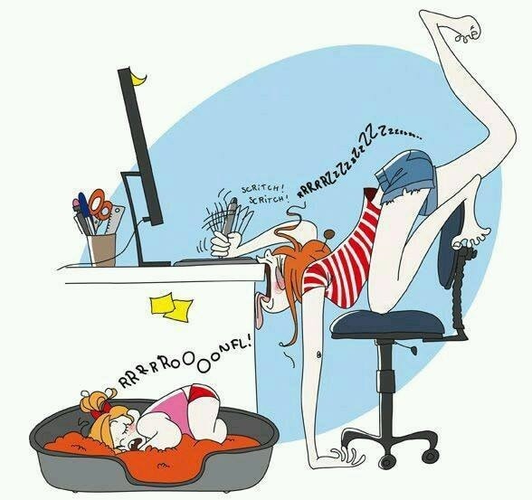 [🆕🇻🇳] 𝐘𝐎𝐆𝐀 𝐓𝐑ị 𝐋𝐈ệ𝐔 𝐓𝐇𝐀𝐍𝐇 𝐇𝐔𝐘ề𝐍 🧘 Top1Yoga 🤸🏻‍♀️  Relax time, 
Người khác kết hôn năm nào tui không quan tâm 
Tui chỉ thấy đau cổ vai gáy năm 20 tủi  

Spa Góc An Yên – số 15 ngách 27 ngõ 279 Đội Cấn -> c , shares-0✔️ , likes-0❤️️ , date-2024-12-29 17:54:56🇻🇳🇻🇳🇻🇳📰🆕