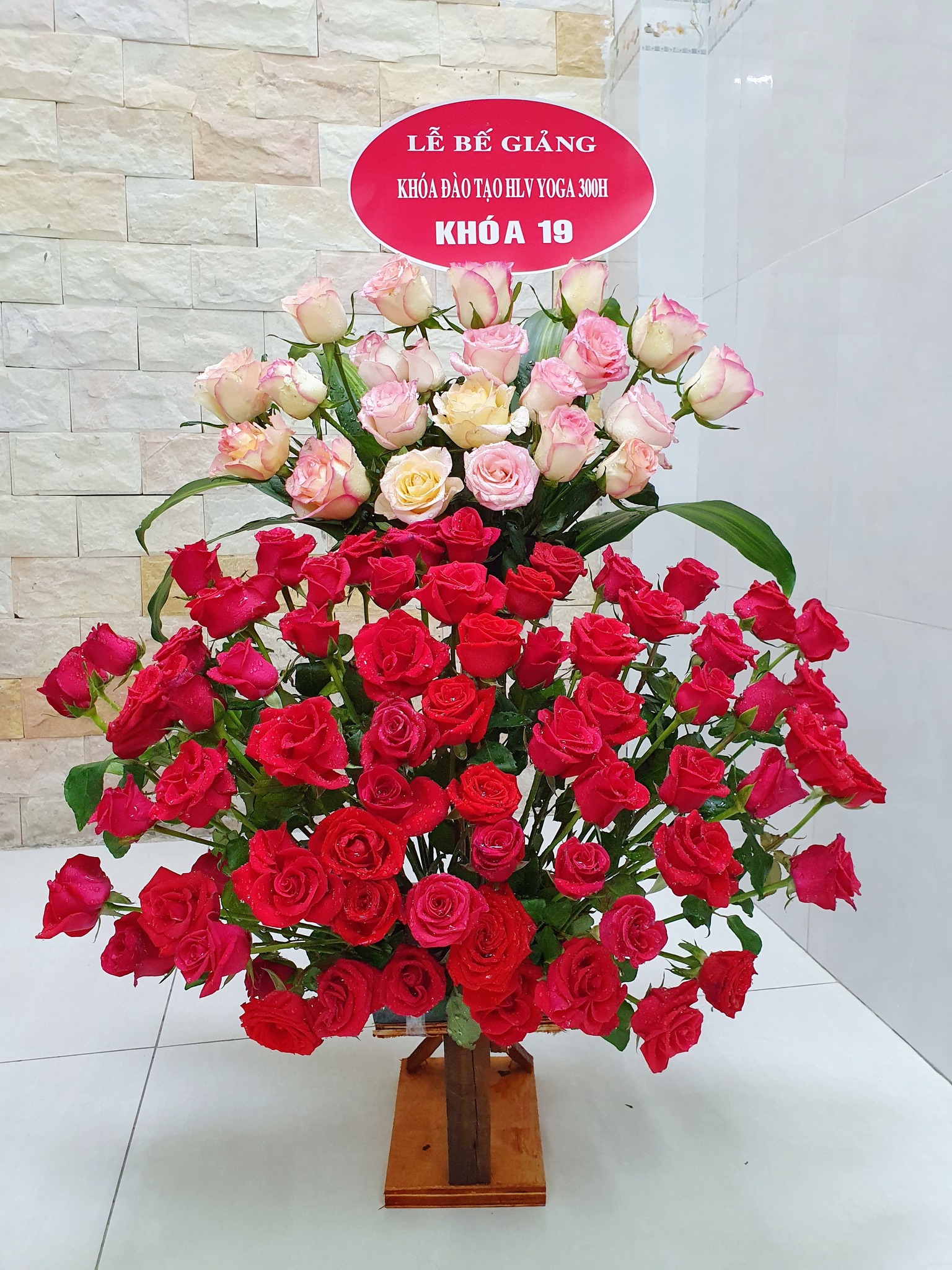 [???] Yoga Sức Khỏe Vàng – Golden Health ? Top1Yoga ??‍♀️  , shares-0✔️ , likes-0❤️️ , date-2024-12-30 20:32:53????????