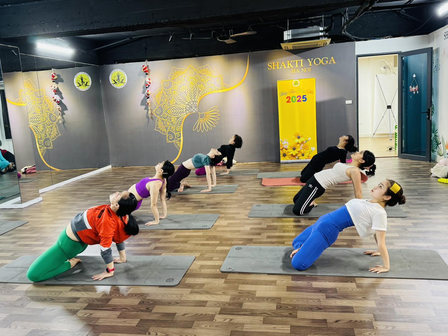 [???] Shakti Yoga Hà Nội – Số 1 về đào tạo HLV Yoga ? Top1Yoga ??‍♀️ Những học viên chăm chỉ  vào ngày cuối cùng của năm với bài tập Ashtanga
 , shares-0✔️ , likes-12❤️️ , date-2025-01-01 04:15:52????????
