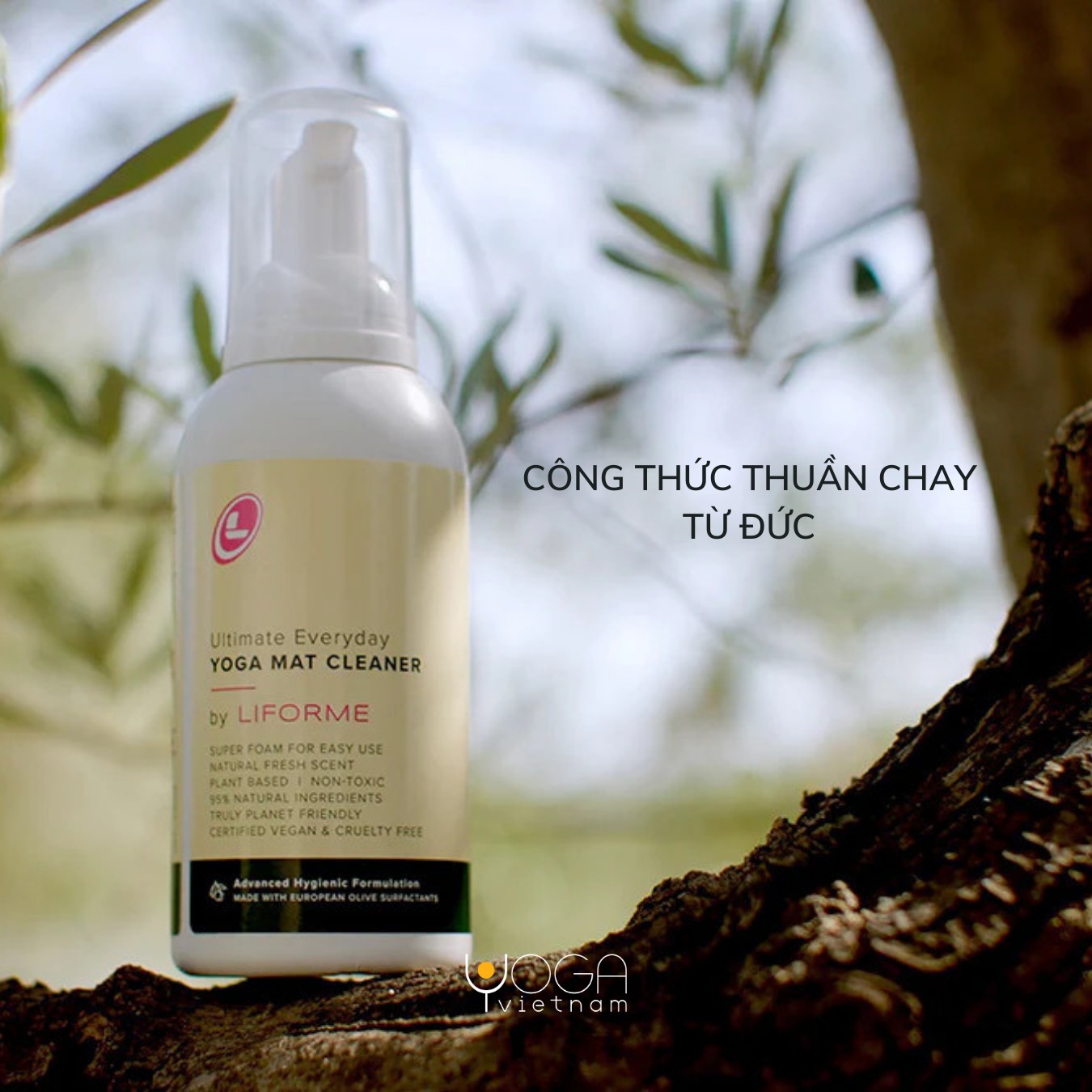 [🆕🇻🇳] Yoga – Fitness Đình Vinh – GYM – YOGA – ZUMBA – AEROBIC – MÚA CỔ TRANG – DANCE KID 🧘 Top1Yoga 🤸🏻‍♀️ Dậy sớm dọn body đón tết cùng chị em Yoga – Fitness Đình Vinh nào .
– – – – – – – – – – – – – – – – – 
ĐC : 21 đường 22, kp 4 , p Linh Đông , Thủ Đức 
Hotl , shares-0✔️ , likes-14❤️️ , date-2025-01-08 12:44:26🇻🇳🇻🇳🇻🇳📰🆕