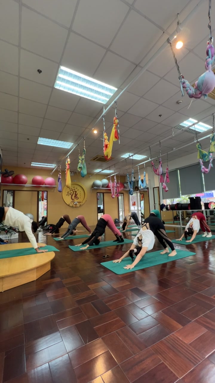 [🆕🇻🇳] Invi Yoga – Chia sẻ kiến thức Yoga, kinh nghiệm tập luyện 🧘 Top1Yoga 🤸🏻‍♀️ Pranayama & Bandha with master Bharat singh
 , shares-0✔️ , likes-60❤️️ , date-2025-01-14 16:46:31🇻🇳🇻🇳🇻🇳📰🆕